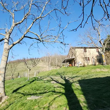 Ca' Paradiso